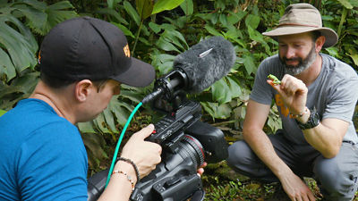Person Using Canon Cinema Camera to Film Lizard