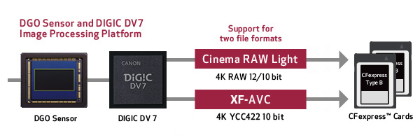 Canon Cinema RAW Light and XF-AVC Recording diagram