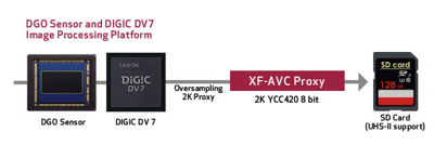 Proxy Recording Example