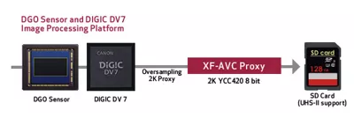 Proxy Recording Example