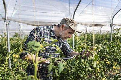 Person Tending to Crops