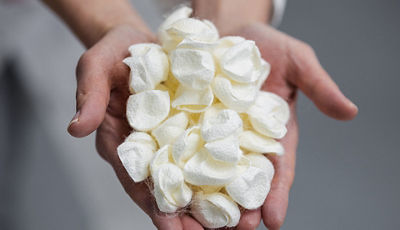 Person Holding Flower Pedals