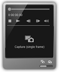 Video Frame Capture View in My Image Garden (Windows)