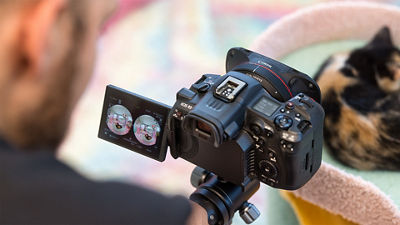 Cat meditation bts thumbnail