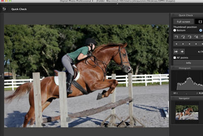 Digital Photo Professional (DPP) 4: Software Overview and Interface Tour