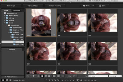 Digital Photo Professional (DPP) 4: Managing Files