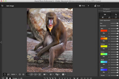Digital Photo Professional (DPP) 4: Editing Images