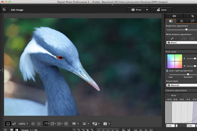 Digital Photo Professional (DPP) 4: Using DPP 4 to fix common problems