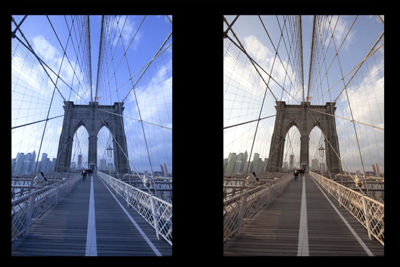 EOS 101 How To: White Balance