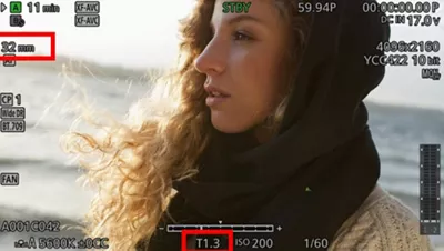 Person Looking at the Ocean