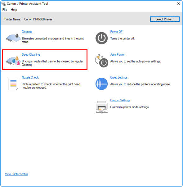 Clean or Deeply Clean the Print Head (Windows) - PRO-300