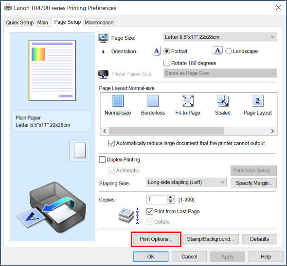 Choose Which Ink Cartridge(s) to Print With (Windows) - TR4720 / TR4722