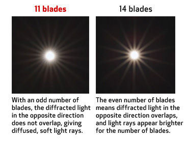 Iris Balde Comparison