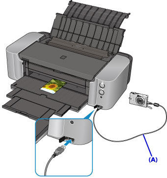 Printing Pictures Directly from a Digital Camera - PRO-10 / PRO-100