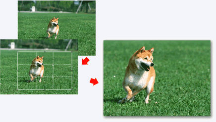 Professional Print & Layout - Cropping Photos (Windows)