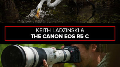 Person Using Canon Cinema Camera