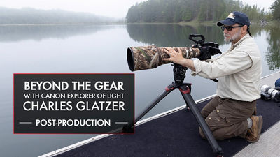 Person Using Canon Cinema Camera