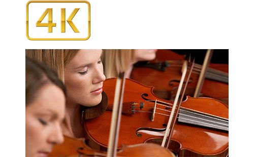 4K close‑up of violin performance with detailed image quality