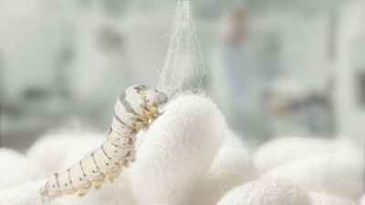 Canon Redefines the Way we Shape the Future