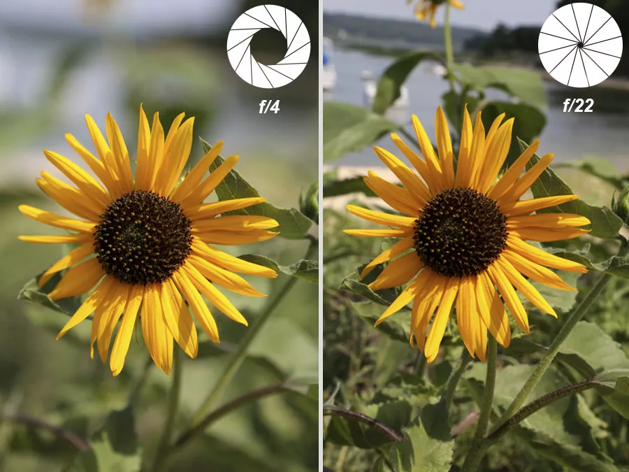What Is Aperture Photography?
