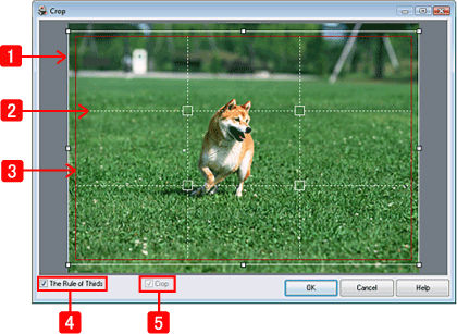 Selecting the layout and printing with Easy-PhotoPrint EX