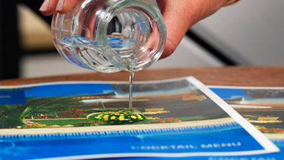 Expanded Paper Support