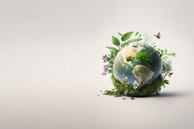 Globe Graphic with Plants Growing Out of It