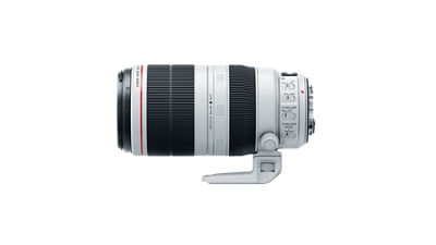 Canon EF 100-400mm f/4.5-5.6L IS II USM
