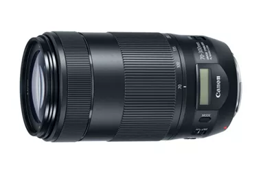 Canon EF 70-300mm f/4-5.6L IS USM 美品 - その他