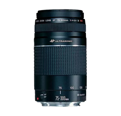 キャノン 手ぶれ補正付 Canon EF75-300mm IS USM レンズ(ズーム) 訳有