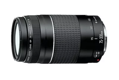 Canon EF 75-300mm F4-5.6 IS USM #1175