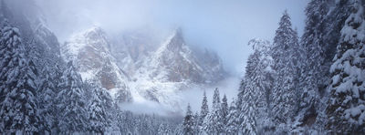 Picture of Mountains covered with snow