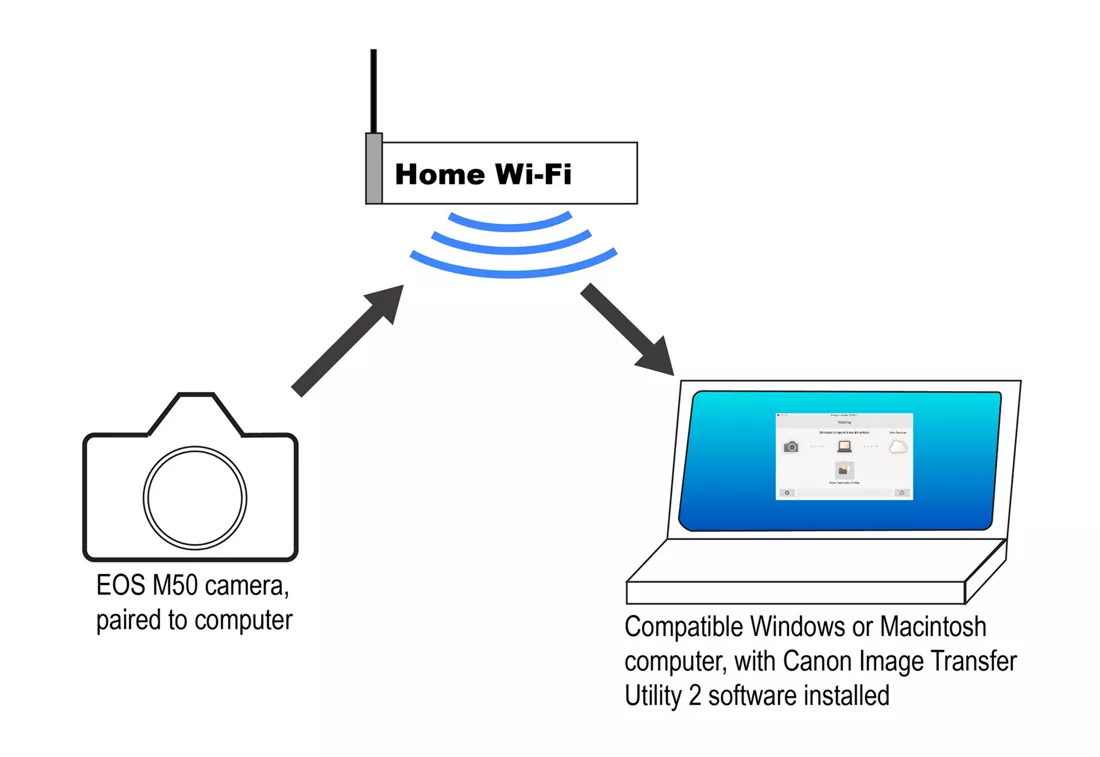 Canon m50 wifi store connection