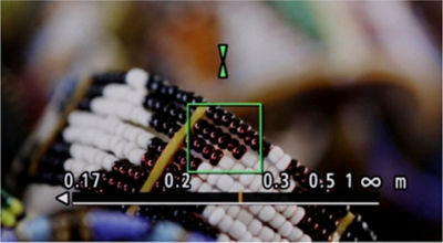 Dual Pixel CMOS AF image area