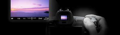 EOS R camera operation using the EVF