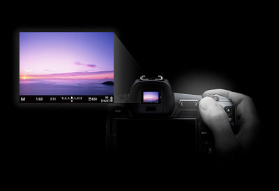 Canon EOS R Camera: Video Operation and Control Features