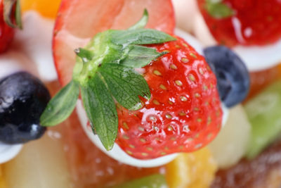 Close Up of a Fruit Cake