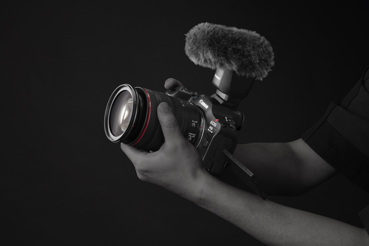 Person Holding a Camera with Vari-Angle Screen Out