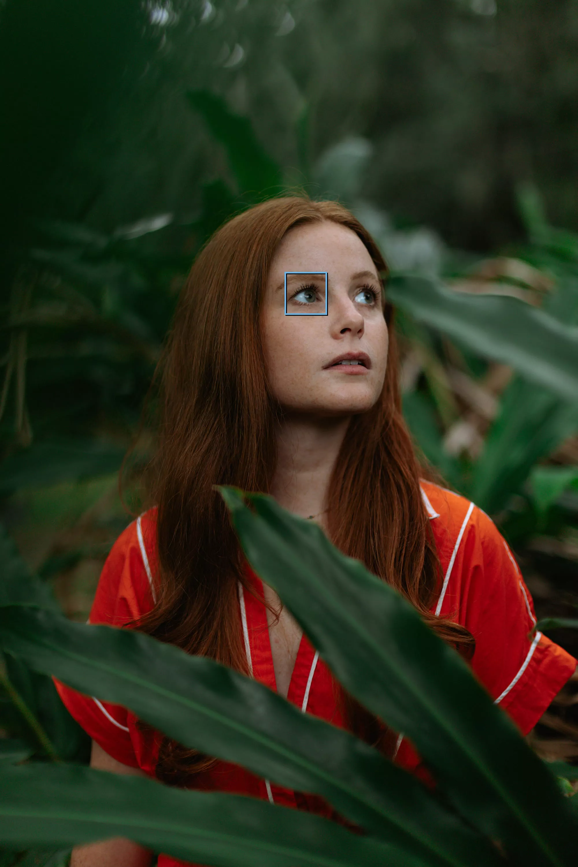 Person in a Jungle