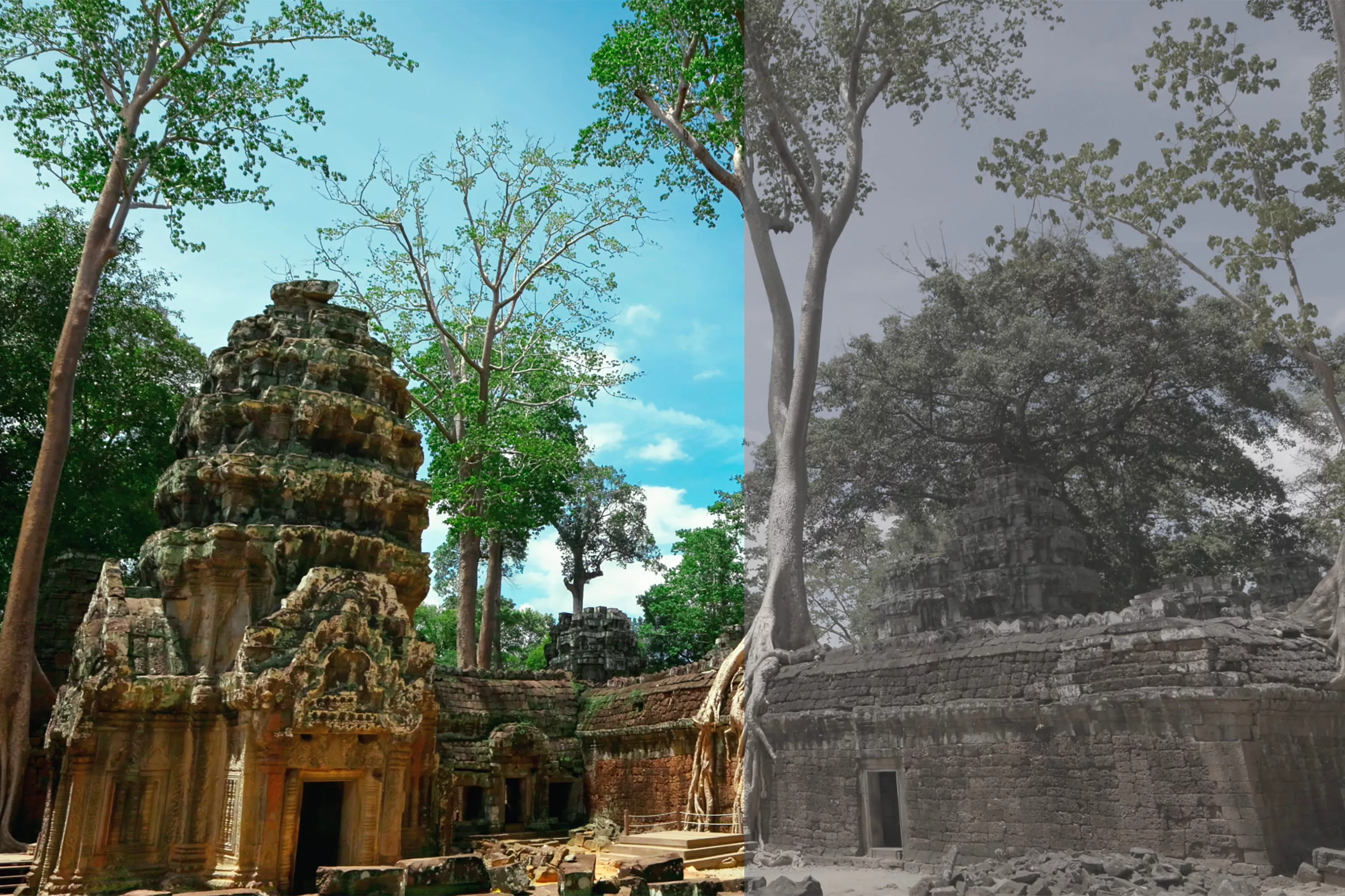 Ruin in the Middle of a Jungle - Half Monochrome and Half Color