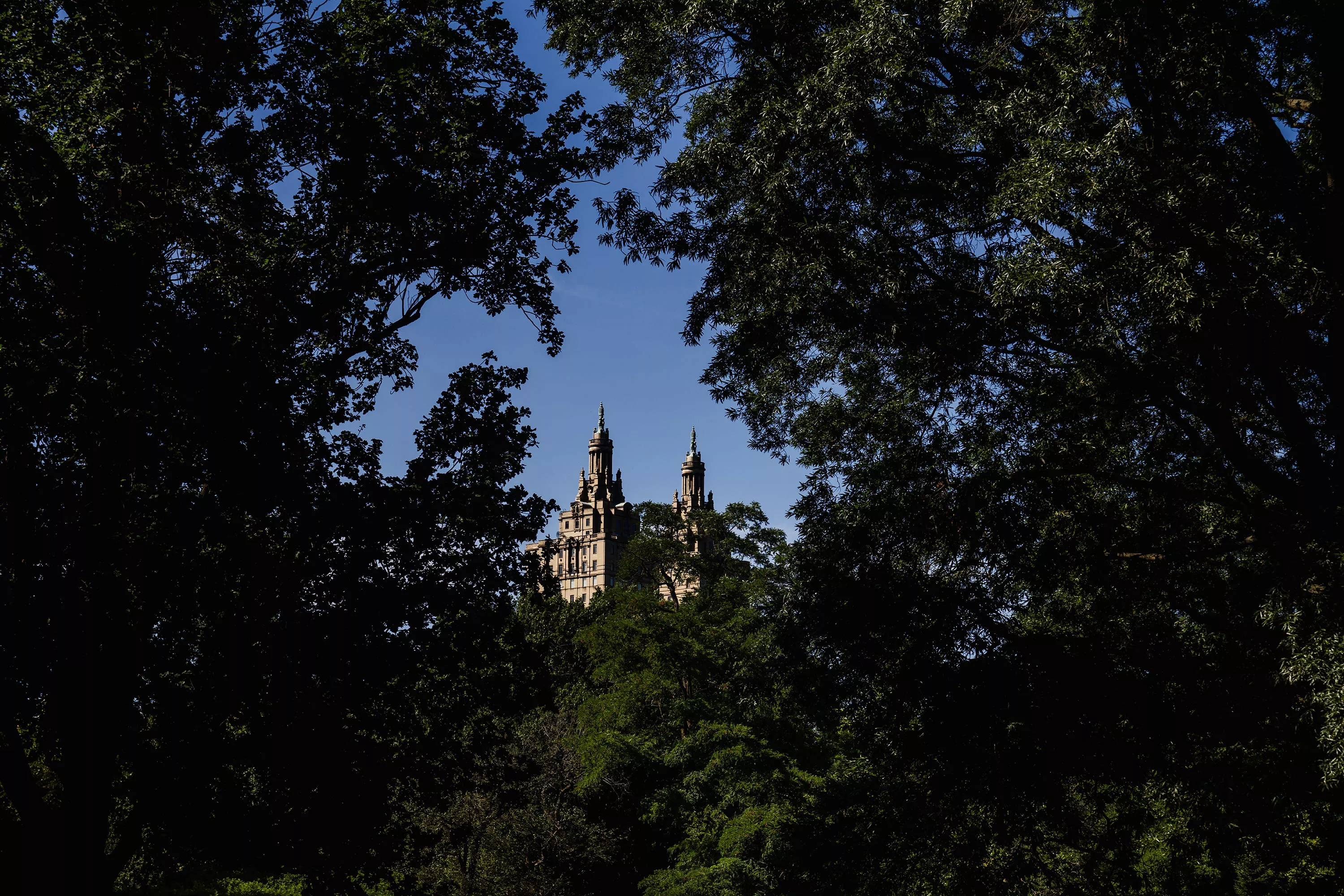 Circle of Tree Branches with Castle Visible Through the Center Opening