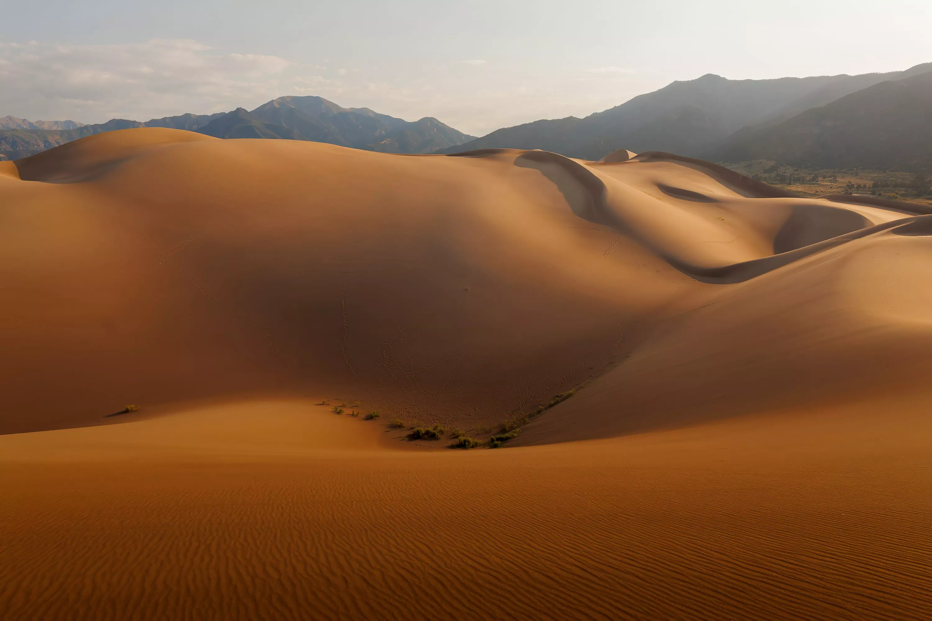 Sand Hills in Desert