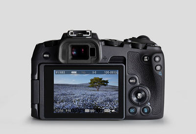 Four Ways the EOS RP Can Produce Sharper Pictures