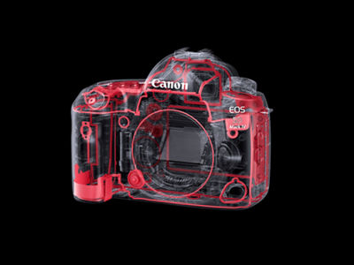 Dust and Water seals