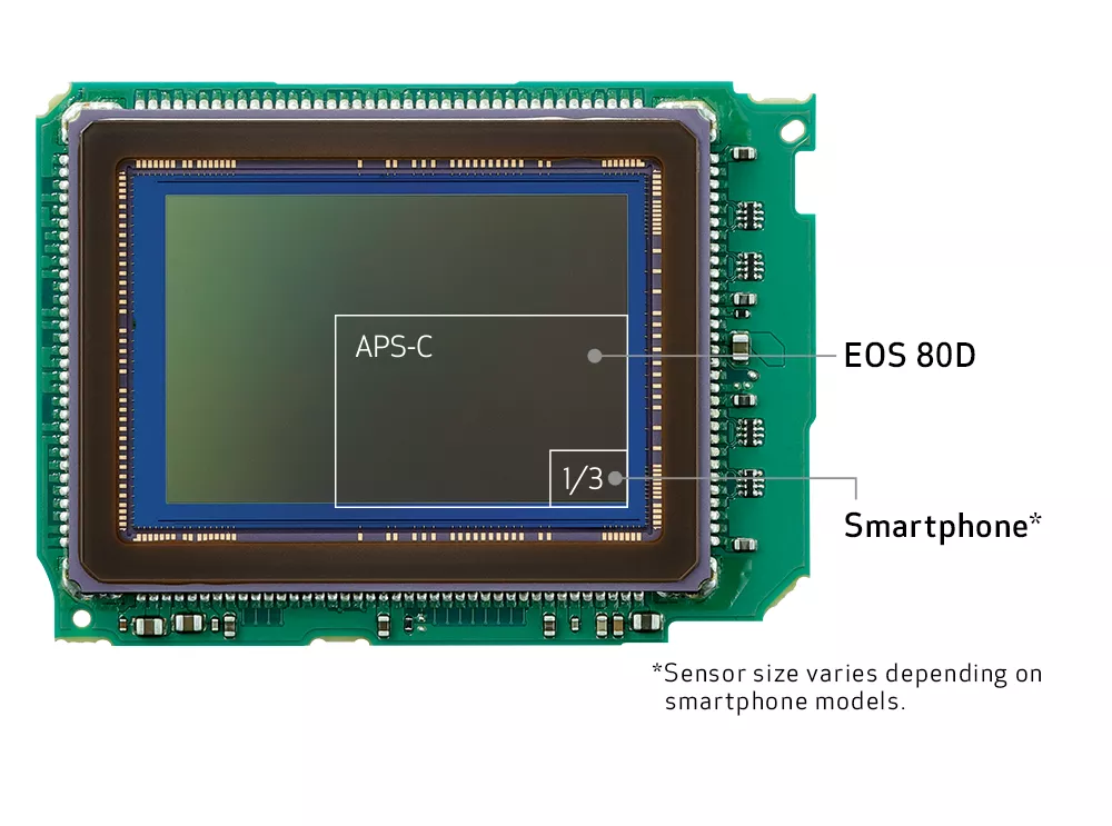 primer plano del sensor