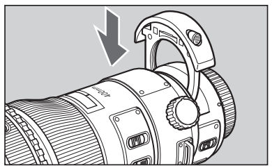 Using drop-in filters with the EF 800mm f/5.6L IS USM lens.