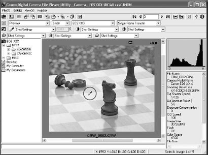How to use File Viewer Utility.