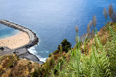 Beach, water, and grass