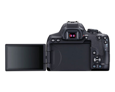 EOS Rebel T8i Back with LCD Out