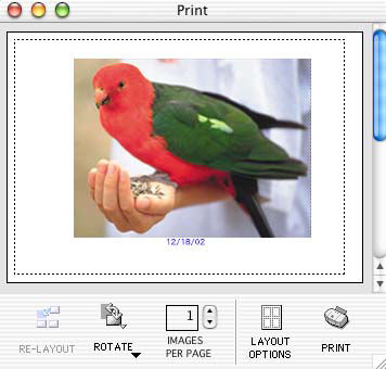 How to clip images using ImageBrowser